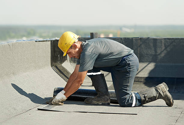 Best Geographic-Specific Insulation Services in Sewalls Point, FL